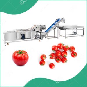 Machine De Lavage De Tomates Séchage À L'Air Automatique
