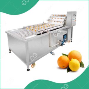 Machine À Laver Les Agrumes Citron Orange Automatique Vendre