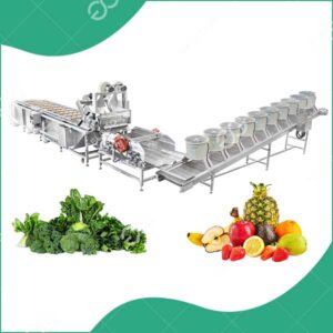 Chaîne De Lavage Des Fruits Et Légumes Multifonctionnelle