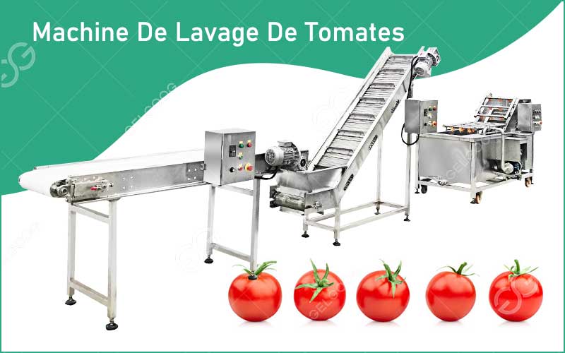 Présentation De Meilleur Machine De Lavage De Tomates À Prix Abordable
