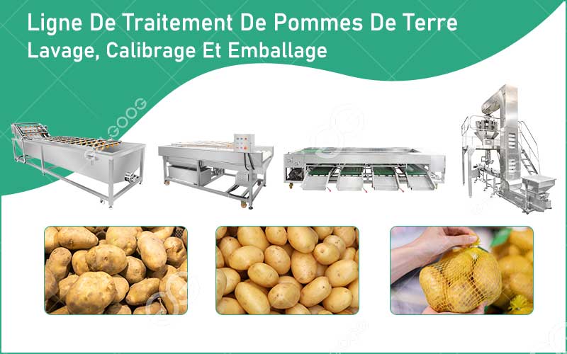 Présentation De La Ligne De Lavage Calibrage Emballage De Pommes De Terre