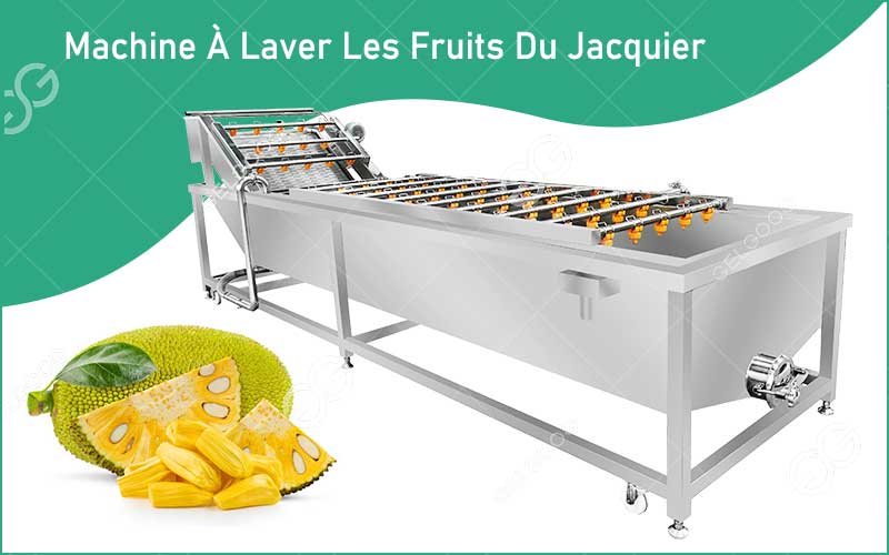 Introduction De Machine De Lavage Des Fruits Du Jacquier