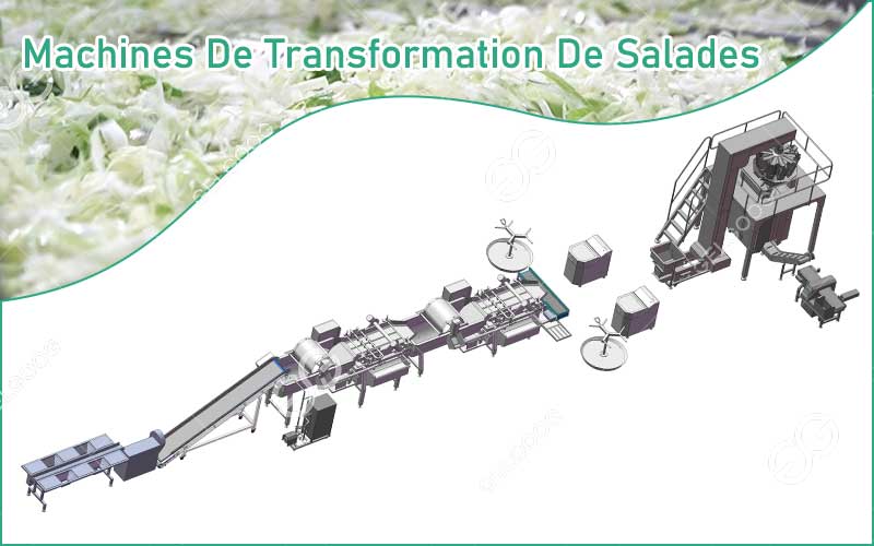 Machines De Transformation De Salades