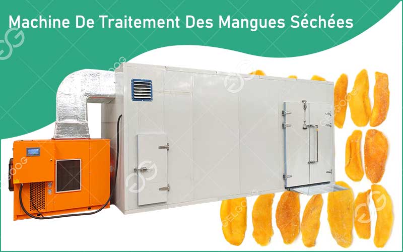 Machine De Traitement Des Mangues Séchées
