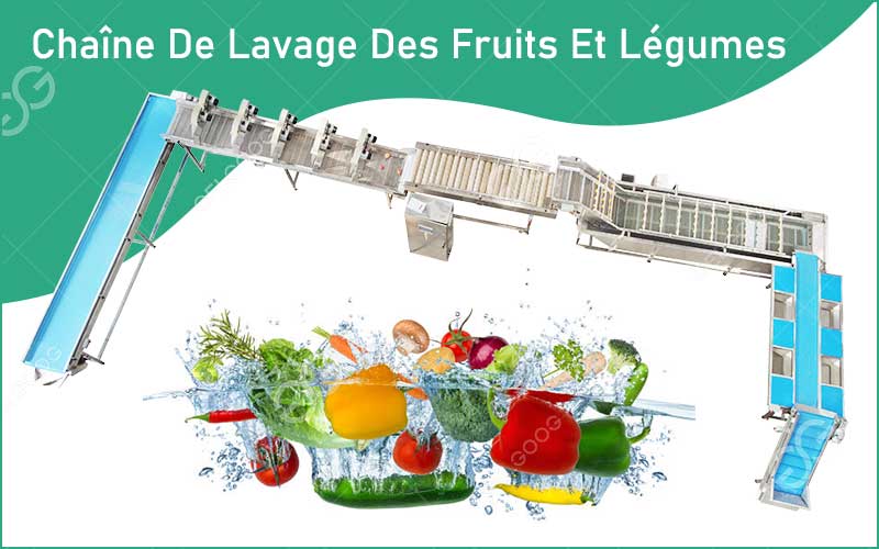 Chaîne De Lavage Des Fruits Et Légumes