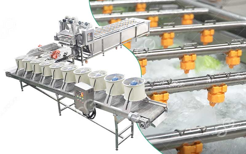 Ligne De Lavage De Fruits Et Légumes
