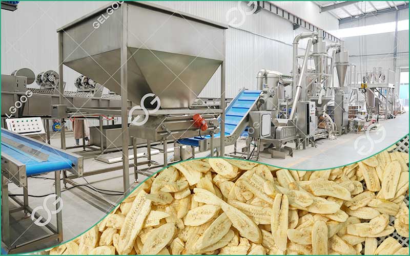 Projet De Transformation De Banane Plantain En Farine