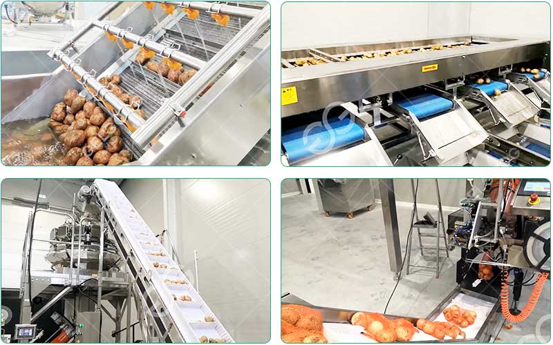 Machines De Lavage, De Calibrage Et D’Emballage Des Pommes De Terre