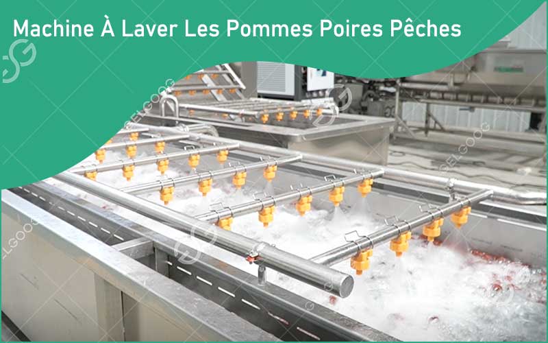 Caractéristiques Du Équipement De Lavage De Pommes