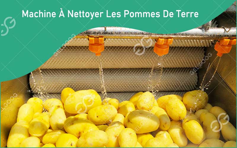 Avantages De La Machine À Nettoyer Les Pommes De Terre