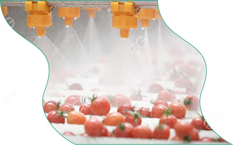 Caractéristiques De L'Ensemble De Machine De Lavage De Tomates