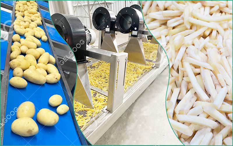 Étapes De La Ligne De Production De Frites Surgelées Typique