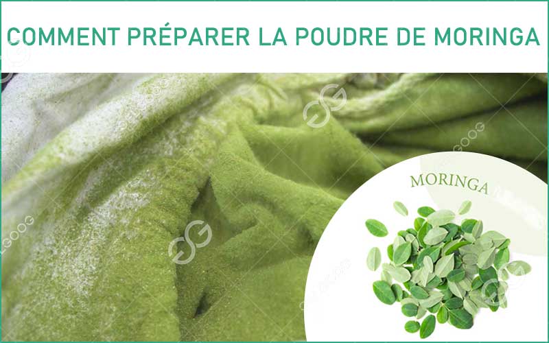 Comment Préparer La Poudre De Moringa À Boire
