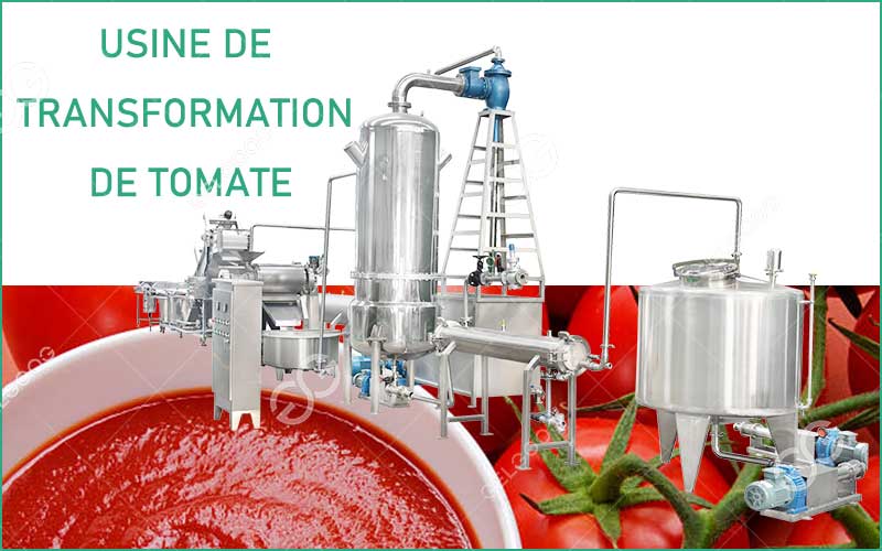Coût D'Une Usine De Transformation De Tomate