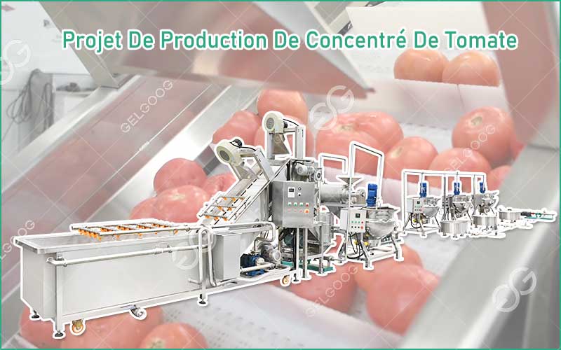 Démarrer Un Projet De Production De Concentré De Tomate