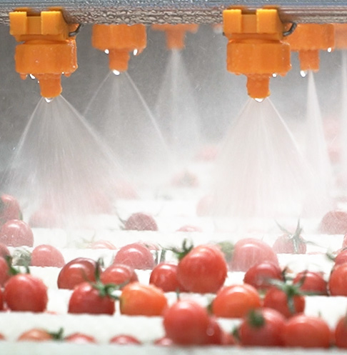 Machines Pour Fruits Et Légumes