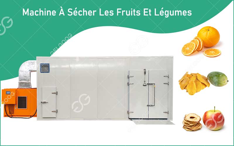 Principales Caractéristiques De La Machine À Sécher Les Fruits Et Légumes