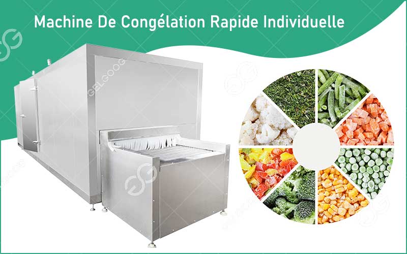 Machine De Congélation Rapide