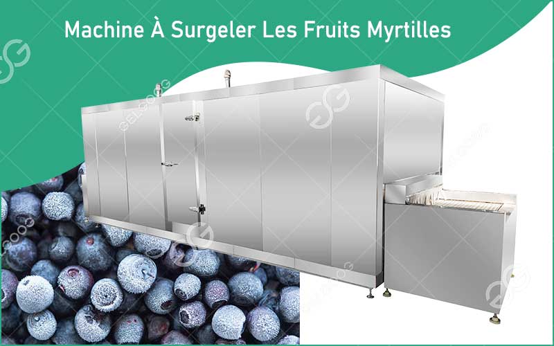 Principe De Fonctionnement De La Machine À Surgeler Les Fruits