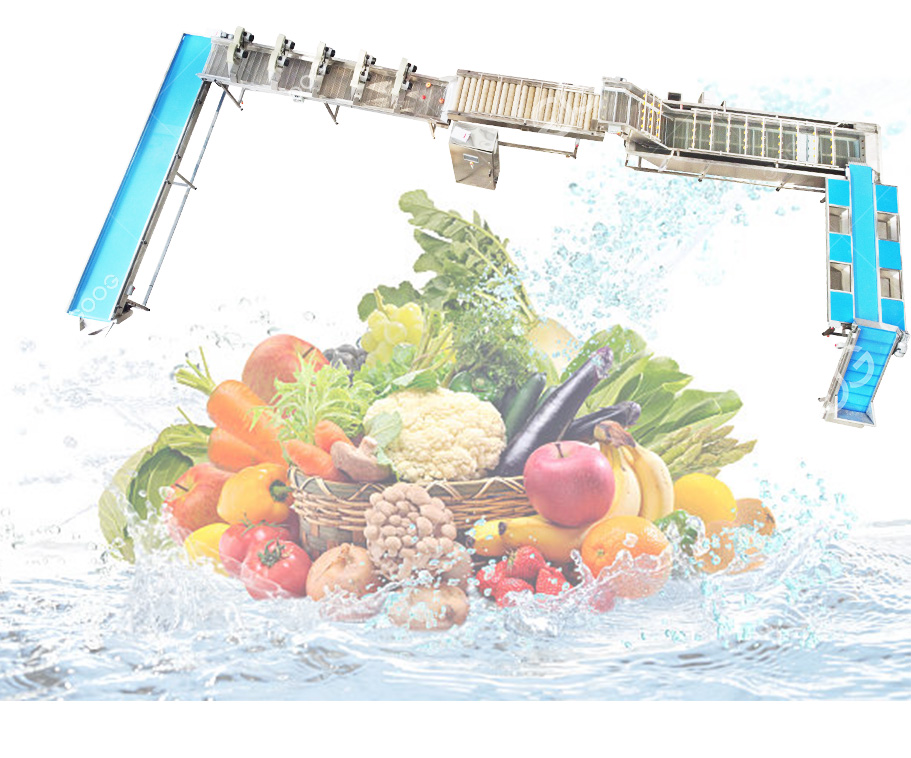 Fabricant Des Machines Pour Fruits Et Légumes