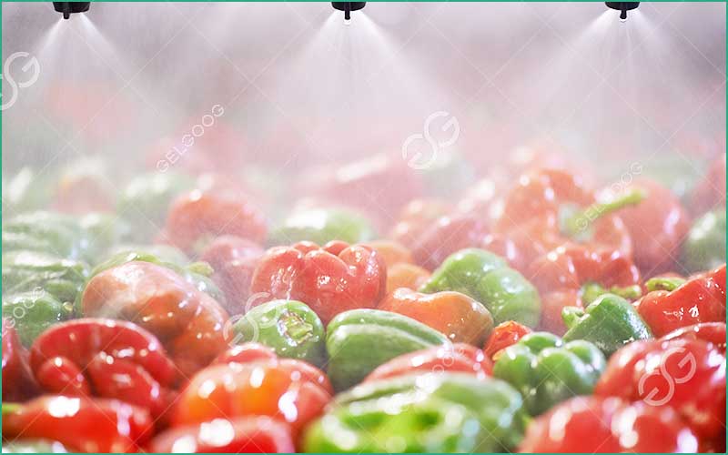 Exploitation De La Ligne De Lavage De Fruits Et Légumes
