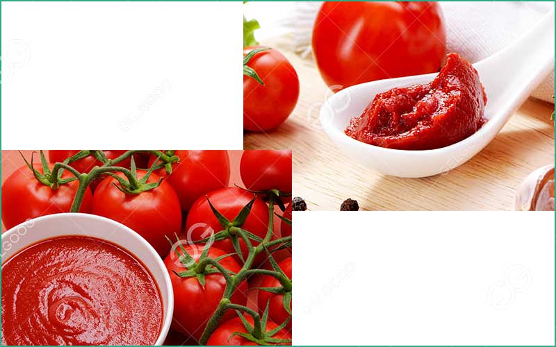Différences Entre La Purée De Tomate Et Le Concentré De Tomate