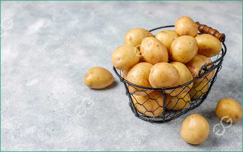 Petites Pommes De Terre Grenailles