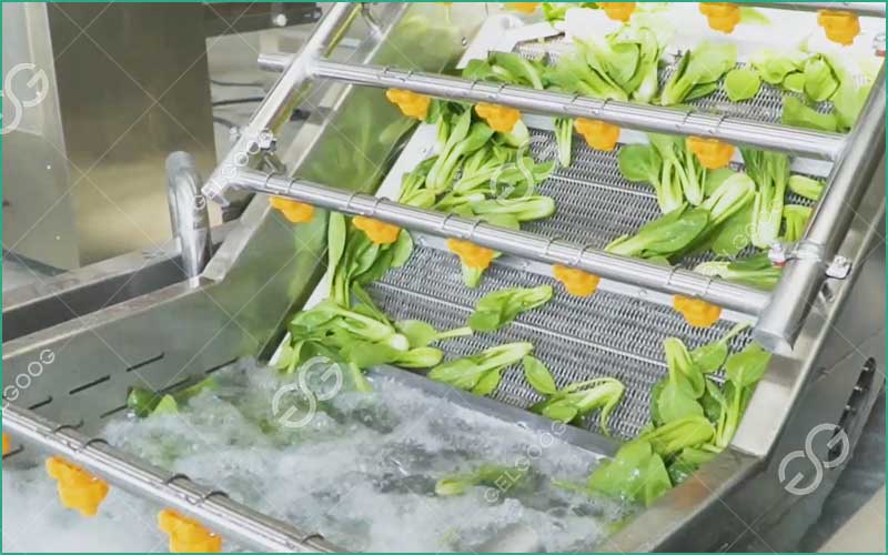 Équipements De Pointe Pour Le Lavage Des Légumes