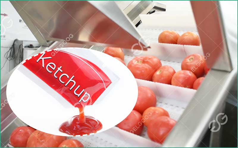 Créer Une Entreprise De Ketchup : Guide Et Coûts
