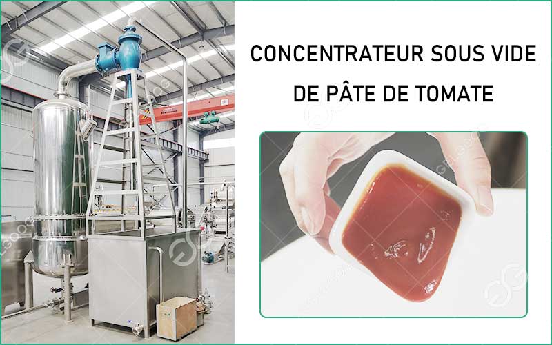 Composition Du Concentrateur Sous Vide De Pâte De Tomate