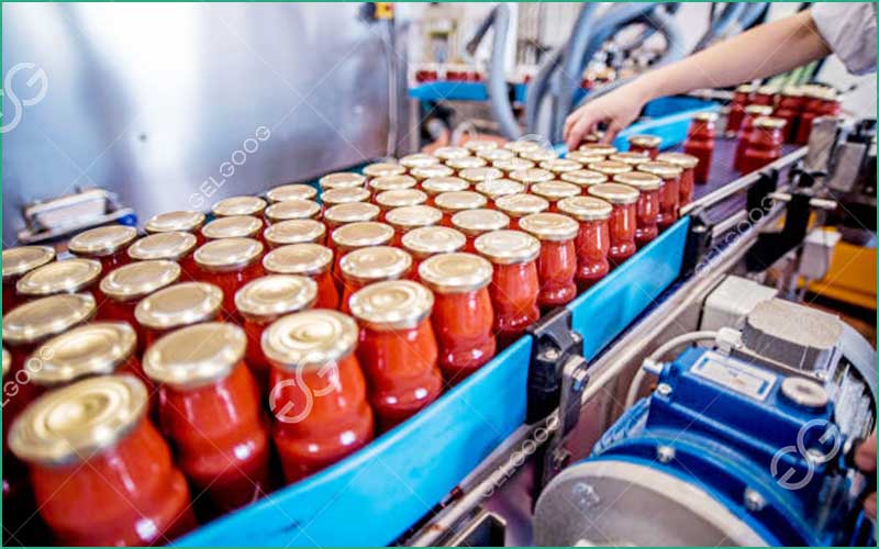 Quelles Sont Les Étapes De La Transformation De La Tomate