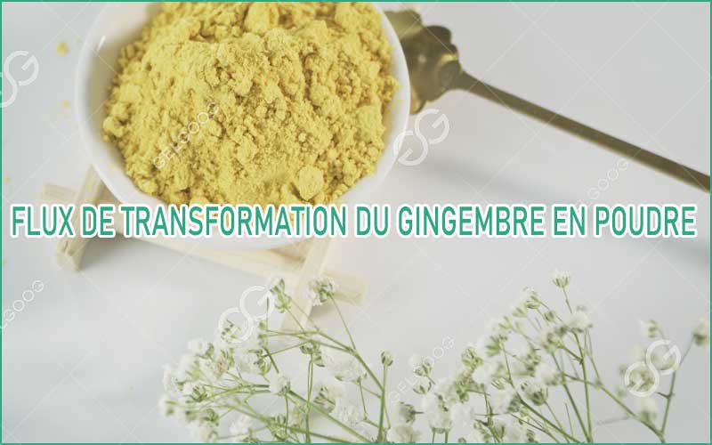 Flux De Transformation Du Gingembre En Poudre