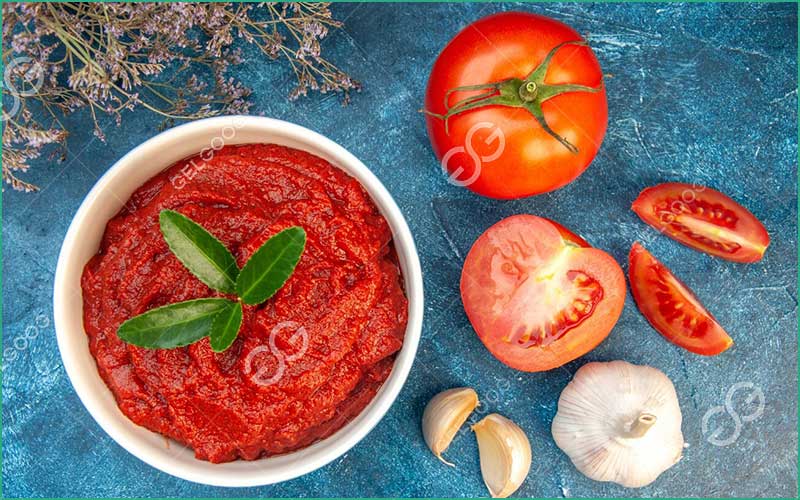 Concentré De Tomate
