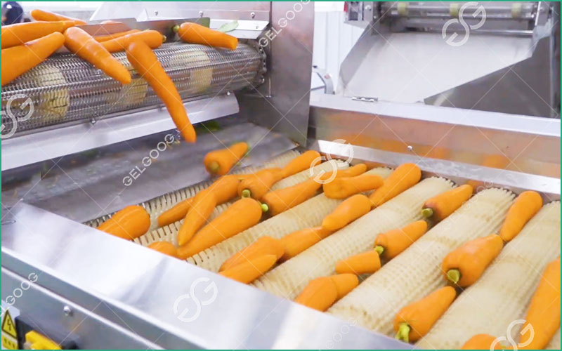 Comment Choisir Une Machine À Laver Les Légumes