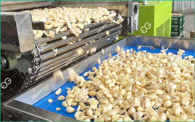 Machine À Éplucher L'Ail