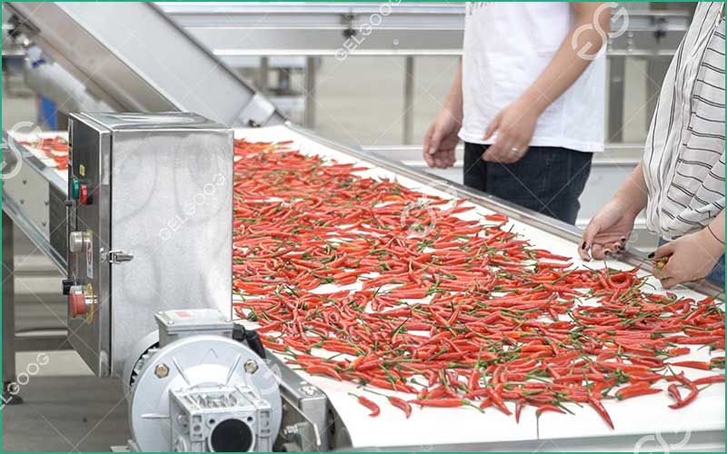 Comment Transformer Les Piments En Poudre En Usine