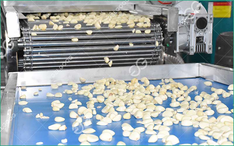 Comment Peler Ail Rapidement De Façon Industrielle