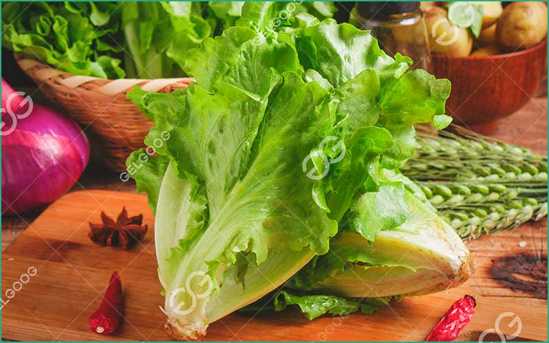 Laitue