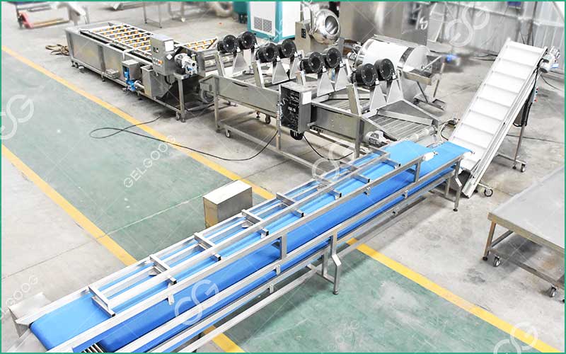 Projet D'Usine De Transformation De Légumes