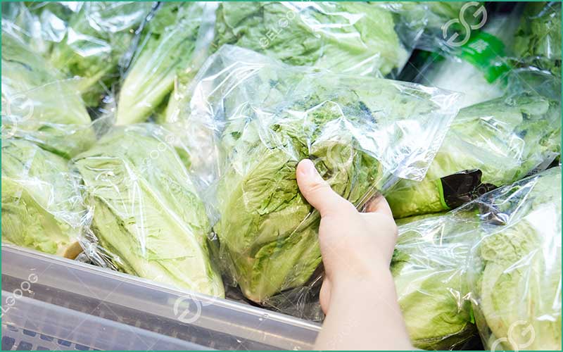 Étapes De La Transformation De La Laitue