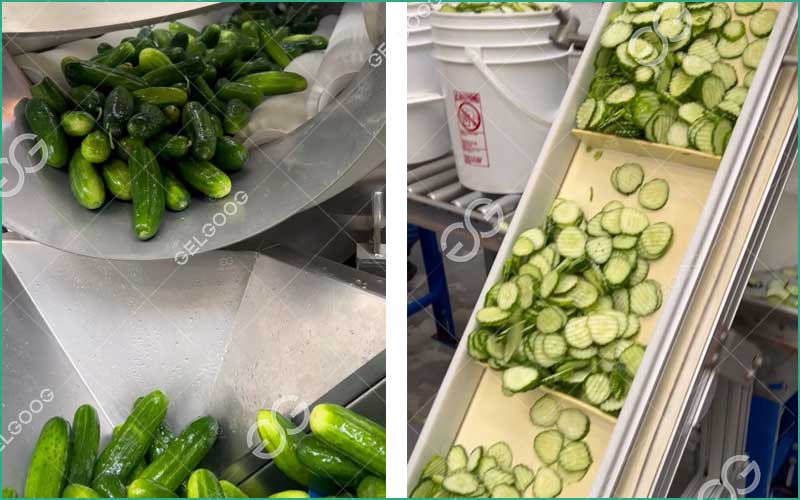 Usine De Transformation De Concombres : Équipement Clés