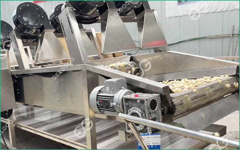 Investir Dans Des Équipements De Transformation De L'Ail