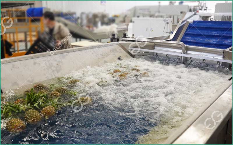 Caractéristiques De La Machine De Lavage D'Ananas