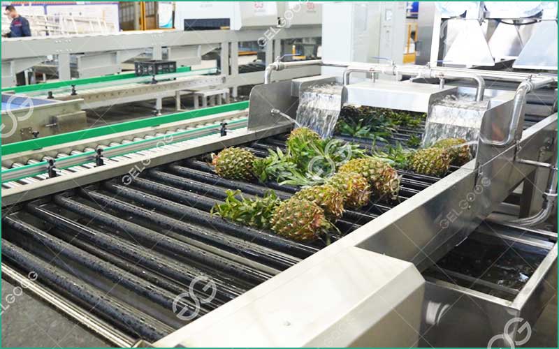 Quelle Est La Méthode De Transformation De L'Ananas