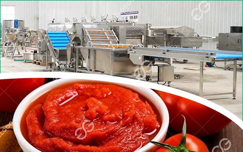 Se Lancer Dans Le Concentré De Tomates : Les Clés D’Un Projet