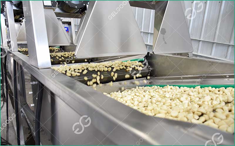 Comment Démarrer Une Entreprise De Transformation D'Ail