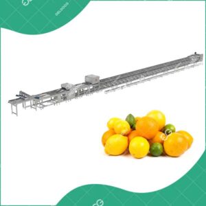Ligne De Production De Tri D'Agrumes Intelligente