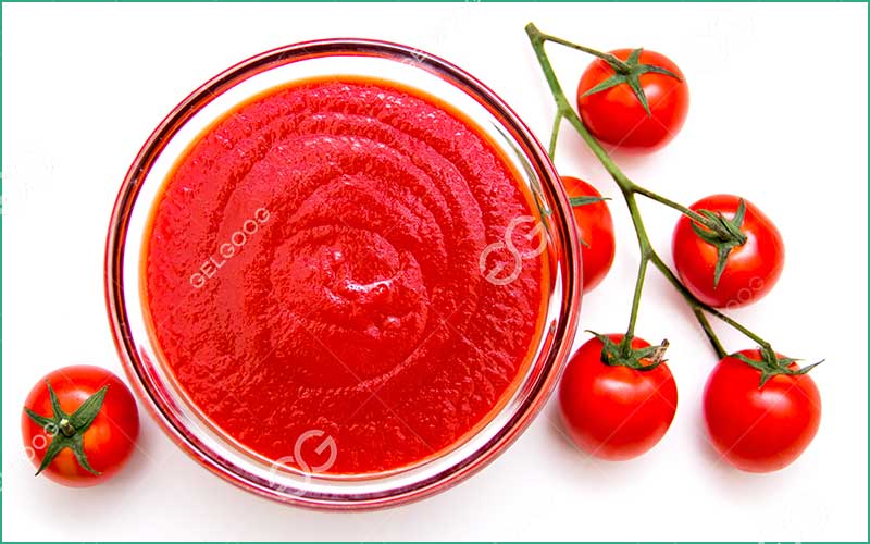Industrie De Transformation De Tomate En Afrique 