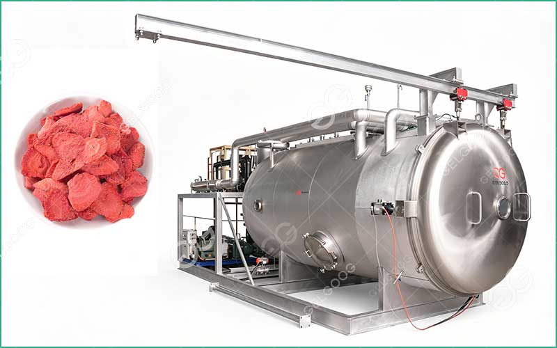 Qu'est-Ce Qu'Une Machine De Lyophilisation Pour Fraises